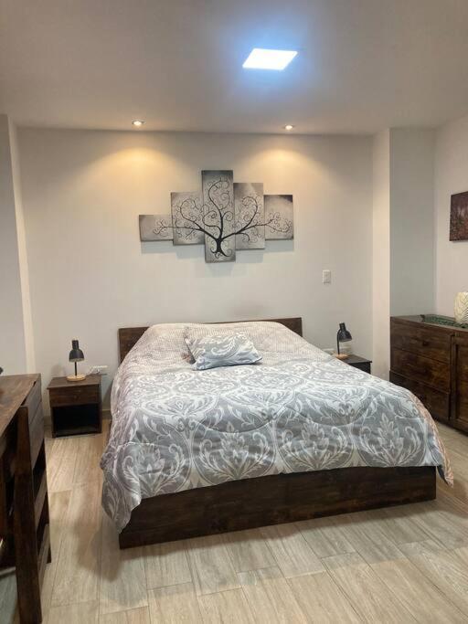 Cozy Cuenca